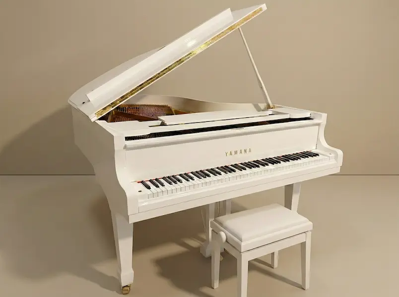 Yamaha G2 (WHITE)